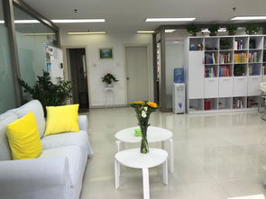 深圳市百和國際教育與咨詢 專業引領，成就未來