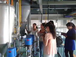 化學(xué)工程系煤化工教學(xué)工廠本學(xué)期教師培訓(xùn)圓滿結(jié)束，深化產(chǎn)教融合，提升教育服務(wù)質(zhì)量